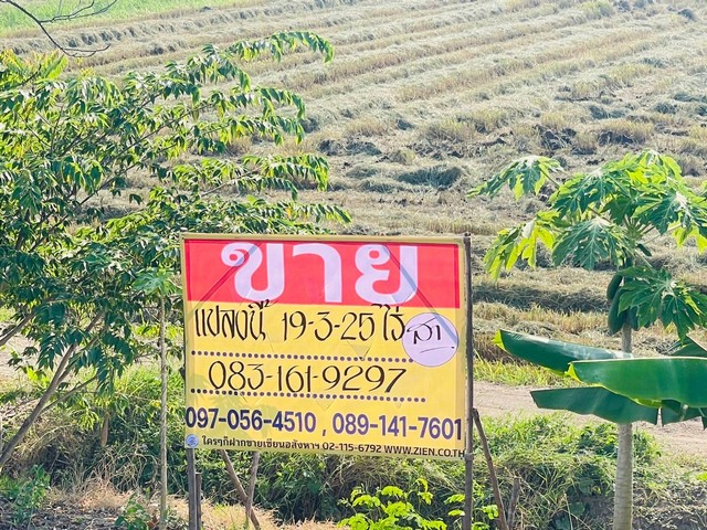 ขายที่นา ทำเลดี ราคาถูก 19-3-25 ไร่  อ.เมือง จ.พิษณุโลก  ZK382