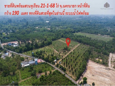 ขายที่ดินพร้อมสวนทุเรียนแปลงใหญ่ 21-1-68 ไร่ จังหวัด นครนายก ทรงที่ดินสวยหน้ากว้าง ระบบน้ำไฟสายสื่อสารพร้อม