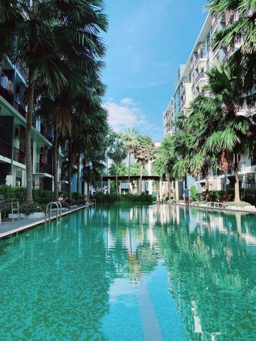 ขาย ICONDO SUKHUMVIT 105 ใกล้ BTS แบริ่ง/ศรีลาซาลห้องตกแต่งใหม่พร้อมอยู่