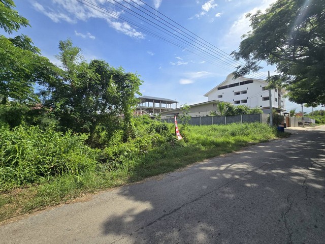 ขาย ที่ดิน คลองสาม ต.คลองหลวง ปทุมธานี ทำเลดี ใกล้วัดธรรมกาย 208.4 ตร.ว แปลงสวย