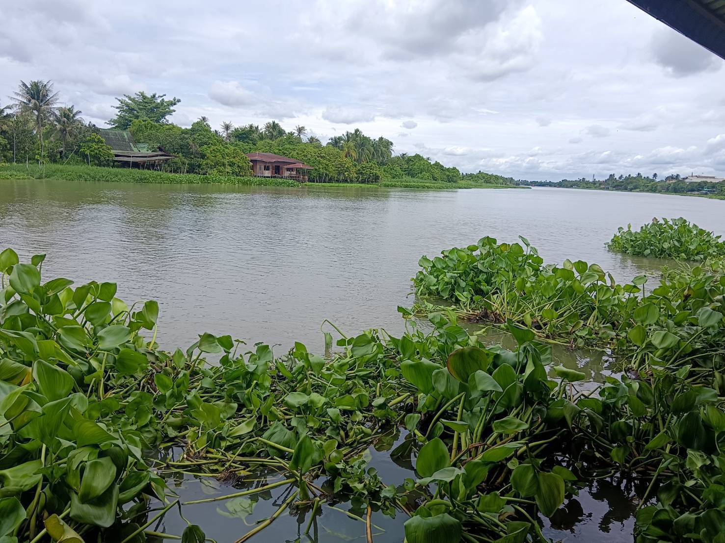 ขายที่แปลงสวย 2ไร่เศษ ติดแม่น้ำนครชัยศรี ย่านตลาดน้ำดอนหวาย สามพราน นครปฐม