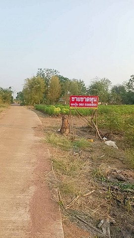 ขายที่ดินวิวภูเขา กาญจนบุรี มีโฉนด พร้อมโอน เหมาะทำบ้านสวน รีสอร์ท