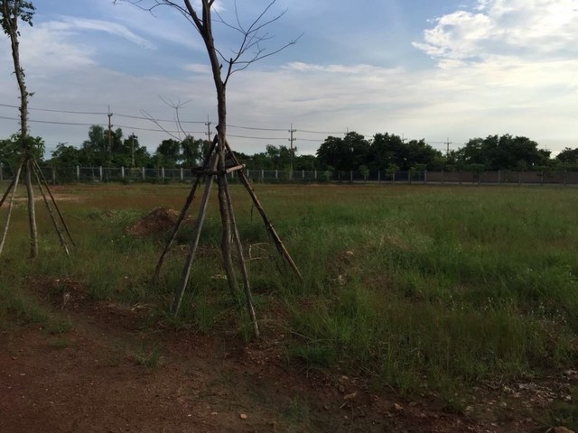 ขายที่ดินถมแล้ว พื้นที่ธรรมชาติ แหล่งชุมชน ติดริมแม่น้ำบางประกง ฉะเชิงเทรา