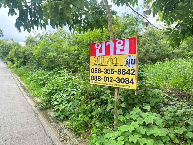 ขายที่ดิน  200ตารางวา  ซอยงามวงศ์วาน 43 แยก2-9 ทุ่งสองห้อง   หลักสี่ 