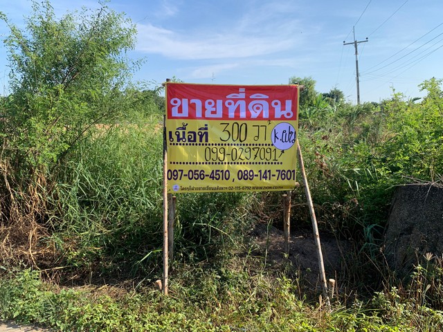 ขายที่ดินแปลงมุมสี่แยก 300 ตรว. ติดถนน 2 ด้าน ซอยมาบใหญ่1   ท่าข้าม อ.พนัสนิคม ชลบุรี   ZN672