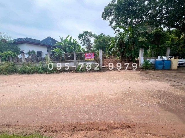 ขายที่ดิน ถ.3145 ต.กร่ำ อ.แกลง จ.ระยอง ที่ดิน ถมแล้ว แปลงมุม ใกล้ทะเล