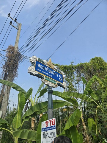 ที่ดิน - 25000 THB  พื้นที่ =  200 ตรว. ใกล้ โรงเรียนปทุมวิไล ศาลากลางปทุมธานี โลตัสปทุมธานี โรงพยาบาลปทุมธานี อยู่ย่านใจกลางเมืองปทุม เขตชุมชน คุ่มค่า