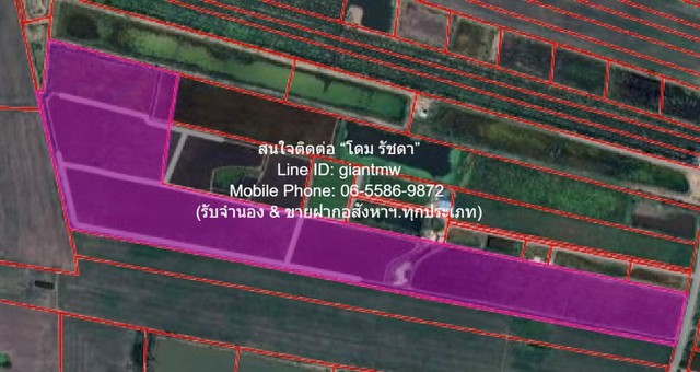  DSL-1016 Sale พื้นที่ดิน ขายที่ดินทุ่งนา 103-0-44 ไร่ ศรีจุฬา อ.เมืองนครนายก นครนายก ราคา 31 ล้านบาท  ใหญ่ 44 ตาราง-วา 0 ngan 103 ไร่  31000000 BAHT. สวยมาก