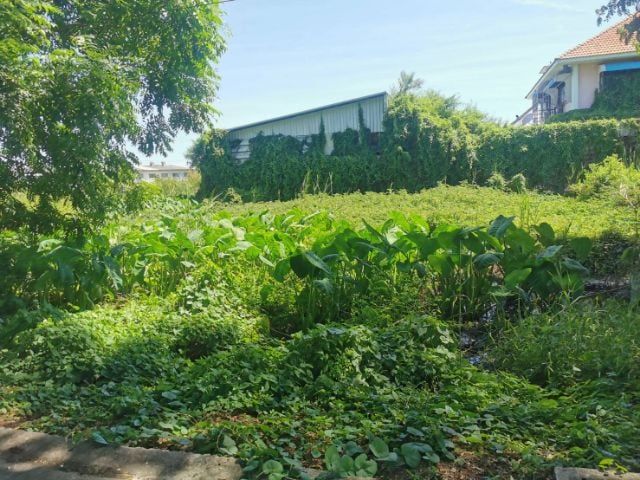 ขายที่ดินเปล่า​ เพชรเกษม​ 77/3​ สวัสดิการ​2​ ซอย​15 หลังหมู่บ้านวังทอง​ ตรงข้าม​ ม.เอเชีย  จังหวัดกรุงเทพมหานคร