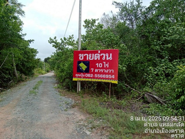 ขายที่ใกล้ทะเลติดคลองสนห่างจากทะเล100เมตร ต.แหลมกลัด จ.ตราด