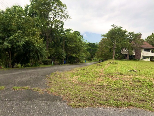 ขายที่ดิน 470 ตร.ว. ในสนามกอล์ฟเซอร์เจมส์คันทรีคลับ Forest Hill อ.มวกเหล็ก สระบุรี แปลงมุม ฟรีเมมเบอร์กอล์ฟตลอดชีพด้วย