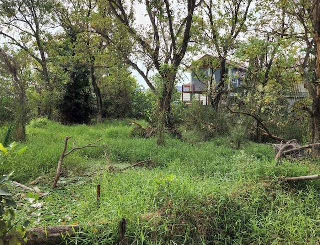 ขาย ที่ดินเปล่า 2 ไร่ 308 ตร.วา ทำเลดี ใกล้เซ็นทรัล เวสต์วิลล์ และห้างสรรพสินค้าอื่นๆ เดินทางสะดวก