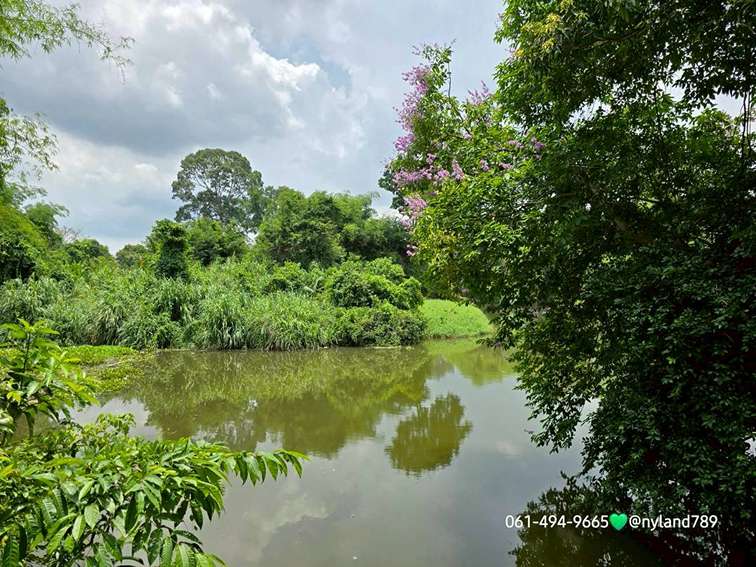 ขายที่ติดแม่น้ำนครนายก ต.บ้านใหญ่ อ.เมืองนครนายก หน้าปากซอยมีเซเว่น ว่างเพียง 4 แปลงสุดท้ายเท่านั้น