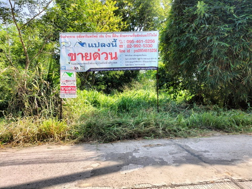 ที่ดินเปล่า 1-1-88.4 ไร่ ต.เมืองปัก อ.ปักธงชัย จ.นครราชสีมา 