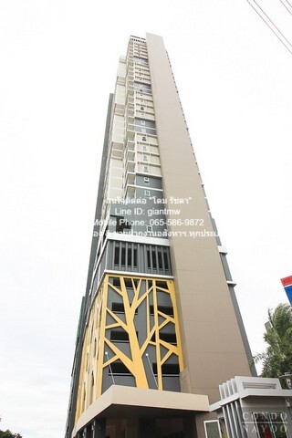 Condominium ริชพาร์ค @ เจ้าพระยา Rich Park @ Chaophraya 1 Bedroom 1 BATHROOM 32 ตร.-ม. 10000 บาท ใกล้ MRT ไทรม้า ด่วน นนทบุรี