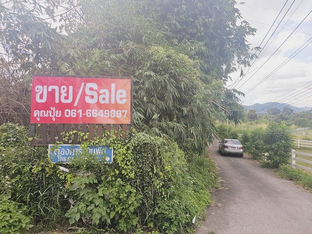 ขายที่โคราช ขายที่เปล่าปากช่อง ขึ้นเขาใหญ่ห่างถ.มิตรภาพเพียง600เมตร นครราชสีมาเนื้อที่  96.4 ตร.ว