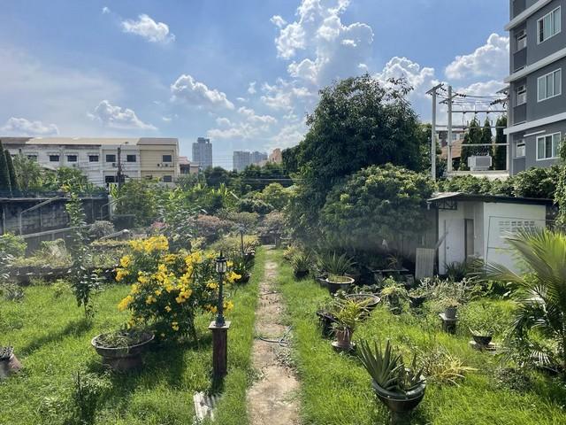 ขายที่ดิน 209 ตร.ว. สุขุมวิท77 อ่อนนุช 14 พื้นที่สีส้ม ซอยกว้าง เหมาะสร้างบ้าน สำนักงาน หรือธุรกิจ คาเฟ่ ร้านอาหาร สปา ใกล้ People Park