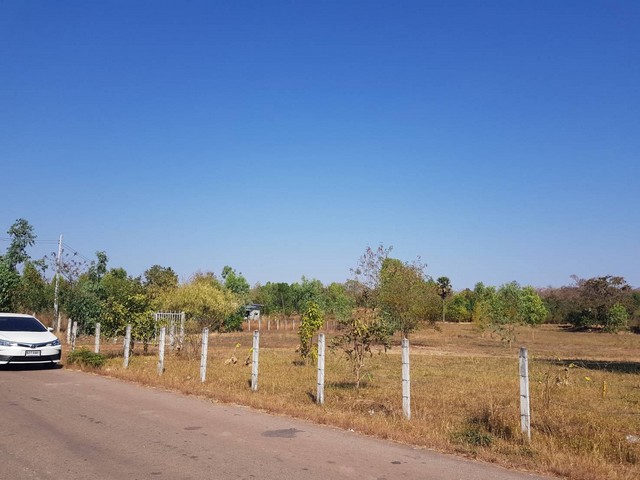 ขายด่วน ที่ดิน 25-2-37.9 ไร่ อ.เมือง จ.อุดรธานี   ZE807