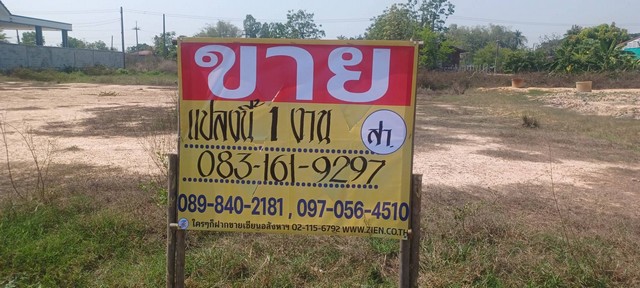 ขายที่ดิน 1 งาน  ถมแล้ว พร้อมสร้างบ้านอาศัย บ้านไร่บึงถ้ง  ต.ดอนทอง อ.เมือง จ.พิษณุโลก  ZK429