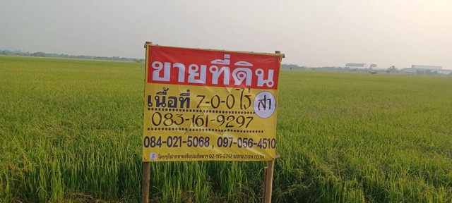 ขายที่นาราคาถูก 7 ไร่  หลังวัดป่าเรไร  ใกล้ชุมชน  บ้านกร่าง ต.บ้านกร่าง อ.เมือง จ.พิษณุโลก   ZK440