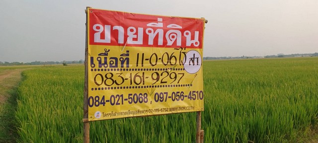 ขายที่นาราคาถูก ใกล้ชุมชน  11-0-06 ไร่  หลังวัดป่าเรไร  บ้านกร่าง ต.บ้านกร่าง อ.เมือง จ.พิษณุโลก   ZK439