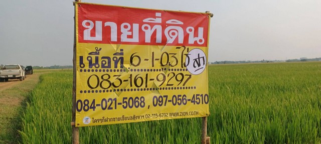 ขายที่นาราคาถูก ใกล้ชุมชน   6-1-03 ไร่  บ้านกร่าง ต.บ้านกร่าง อ.เมือง จ.พิษณุโลก  ZK438