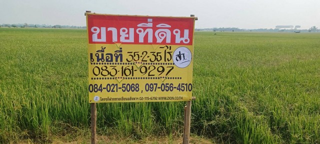 ขายที่นาราคาถูก 35-2-35 ไร่   ใกล้ชุมชน    บ้านกร่าง ต.บ้านกร่าง อ.เมือง จ.พิษณุโลก  ZK437