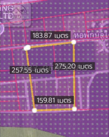 ขายถูกที่ดินสีม่วงลาย เขาคันทรง ศรีราชา (เนื้อที่ 29-3-07.7 ไร่ ขายไร่ละ 3.5 ล้าน) ต.เขาคันทรง อ.ศรีราชา จ.ชลบุรี