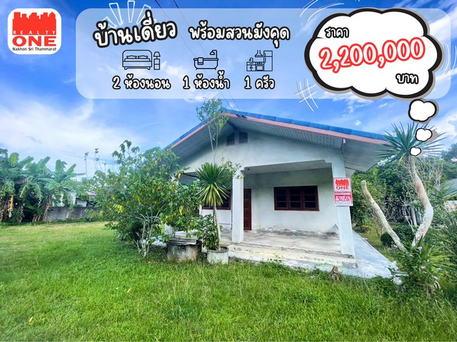 บ้านเดี่ยว เนื้อที่ 1-1-13 ไร่ พร้อมสวนมังคุด เก็บเกี่ยวได้แล้ว ตำบลไชยมนตรี อำเภอเมือง จังหวัด นครศรีธรรมราช