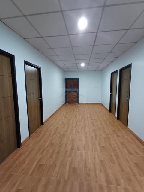 P830 ให้เช่า บ้านเดี่ยว 2 ชั้น รีโนเวทใหม่ สุขุมวิท 101/1 วชิรธรรมสาธิต 55 เดินทางสะดวกพร้อมเข้าอยู่