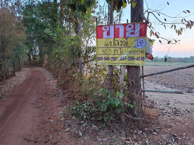 ขายด่วน ที่ดิน 42-3-19 ไร่ อุดรธานี ใกล้อบต.เขือน้ำ   ZE786