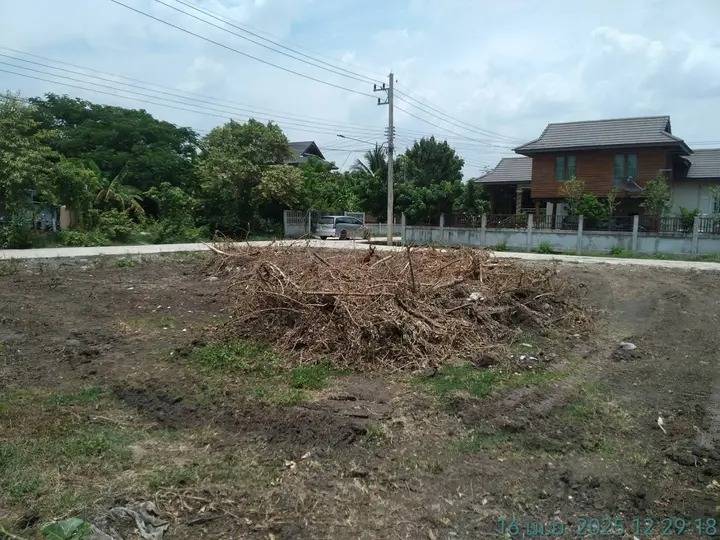 ขายที่ดินเปล่า ทำเลดี ทางเข้าออกสะดวกสบาย ใกล้สถานศึกษา จังหวัดบุรีรัมย์