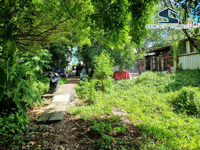 ขายที่ดินถนนสุขุมวิท ย่านปรีดีพนมยงค์ 348 ตร.ว. คลองตันเหนือ วัฒนา