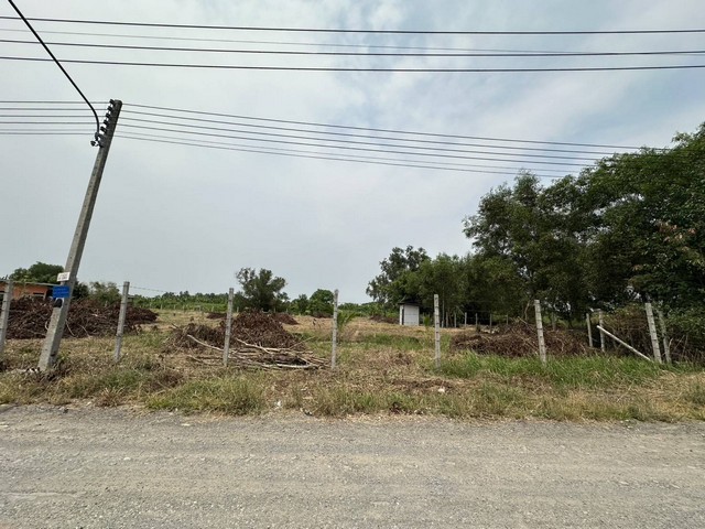 ขายที่ดิน ถมแล้ว ต.หนองสามวัง อ.หนองเสือ ปทุมธานี ใกล้วัดป่าคลอง 15