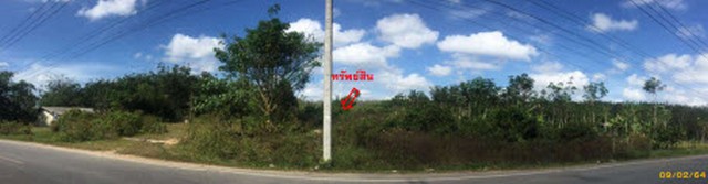 ขายที่ดินว่างเปล่า  ตำบลควนลัง อำเภอหาดใหญ่  สงขลา 
