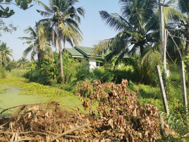 ขาย ที่ดิน ใกล้เซ็นทรัล ศาลายา ซ.มหาสวัสดิ์ 12 0 ตรม. 7 ไร่ 1 งาน 63 ตร.วา