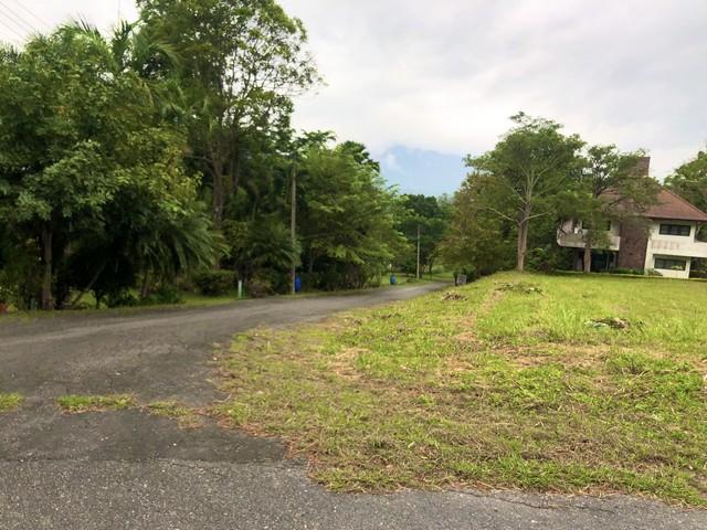 ขายที่ดิน แปลงมุม 470 ตรว. มวกเหล็ก สระบุรี ติดถนน 2 ด้าน ในสนามกอล์ฟเซอร์เจมส์คันทรีคลับ Forest Hill