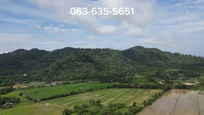 ขายที่สวนป่าติดคลอง 3 ไร่ ต.เขาพระ อ.เมือง จ.นครนายก ใกล้แหล่งสถานที่ท่องเที่ยวต่างๆ รีสอร์ทและร้านอาหาร มากมาย