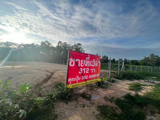 ขายที่หัวหิน ขายที่เปล่านาตาช้าง1 ติดถนนทางหลวงหัวนาทับใต้