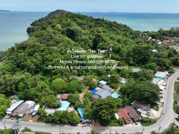 ที่ดิน ขายที่ดินสวนป่า บนเนินไหล่เขา วิวทะเล (Seaview) เกาะสิเหร่ ภูเก็ต 5-0-48.7 ไร่ (ห่างชายทะเล 100 ม.), ราคา 76,826,250 บาท (15 ล้านบาท/ไร่) 35898750 thb  16 ตร.วา 2 ngan 1 ไร่ ใกล้กับ ห่างเทศบาลเมืองภูเก็ต ประมาณ 7 กม. เ ยี่ ย ม! ภูเก็ต   